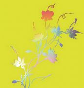 ���i����� �߲�ϵ�Й��S����A72240 2440mm��1220mm����1mm 