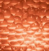 ���i����� ͸�Rϵ���~ɫ͸�RL23619 950mm��2440mm����1mm 