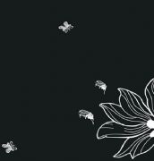 ���i����� ��ˇϵ���ƓP 2440mm��1220mm����1mm 