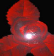 ���i����� ��ˇϵ�Нu�M��õ�� 2440mm��1220mm����1mm 