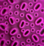 ���i����� ��Ӱϵ�кڷ�̫��ʯA650126 2440mm��1220mm����1mm 