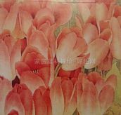 �W�����u��Ƭ ������ 1.2��2.4m 