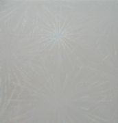 ���i����� ��ɫ�D��ϵ�����S����F22412 2440mm��1220mm����1mm 