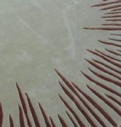 ����˹�k���ÝM䁵�̺ ��]/��ë/�����m��ë��̺ 42�� ӆ�� 