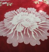 ����˹�k���ÝM䁵�̺ ��]/��ë/�����m��ë��̺ 57�� ӆ�� 