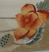 ����˹�k���ÝM䁵�̺ ��]/��ë/�����m��ë��̺ 61�� ӆ�� 