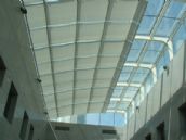 ꖹ���ꖺ� FTS늄����ﺟ YFT-09 