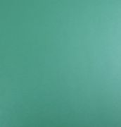 ���m�K��PVC���ϵذ� ��ɫ��͸��ϵ��P003 304mm��304mm����1.6mm 