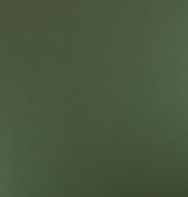 ���m�K��PVC���ϵذ� ��ɫ��͸��ϵ��P007 304mm��304mm����1.6mm 