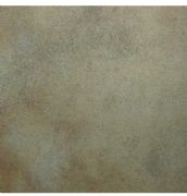 ���ƺ�ʢ����u ��������601643R����ɫ�� �L600mm����600mm 