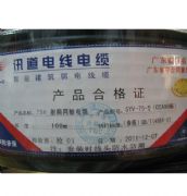 Ӎ���о��ҕͬ�S��| SYV-75-5(CCA96��) 100�� 