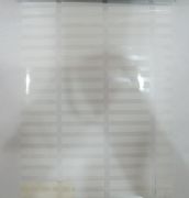 �W�� ������ E0041 ��0.6mm���L10�� ͸��