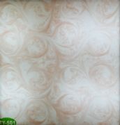 �v�ơ��Ű�͸��ʯ TY-501 �L2440mm����1220mm����5mm 