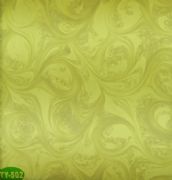 �v�ơ��Ű�͸��ʯ TY-502 �L2440mm����1220mm����5mm 