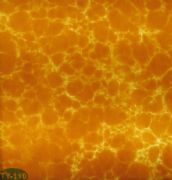 �v�ơ��Ű�͸��ʯ TY-110 �L2440mm����1220mm����5mm 