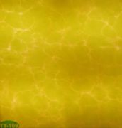 �v�ơ��Ű�͸��ʯ TY-109 �L2440mm����1220mm����5mm 