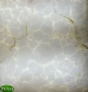 �v�ơ��Ű�͸��ʯ TY-114 �L2440mm����1220mm����5mm 