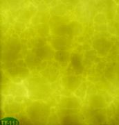 �v�ơ��Ű�͸��ʯ TY-113 �L2440mm����1220mm����5mm 