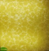 �v�ơ��Ű�͸��ʯ TY-106 �L2440mm����1220mm����5mm 