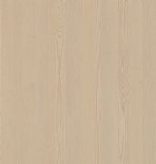 �����ҷ���� ľ�yϵ���wֱ�y-1395LN������ɼľ��ɽ�y�� 1220mm��2440mm����1mm 