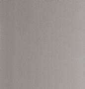 �����ҷ���� ���Aϵ������q��-8171�㙉�� 1220mm��2440mm����1mm 