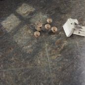 �����ͺϵذ� �¿�¡�ذ�-6041 395mm��395mm����12mm 