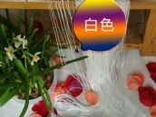 ���T�Ҿߴ����Q����غ� ���� 2�� 