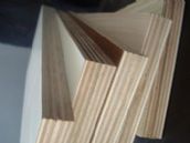 ���f�������谷�� ���B�����B���Ӱ� 1220mm��2440mm����17mm 