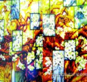 �����o��ˇ���� ���L�������m�� 8�� 