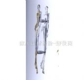 �����_�����T���� ��ʽ���ͦ�600*275 �Ͻ�JD-8627 ����Ҏ�� 