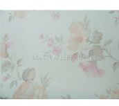 ̫ˇ���� 27806 0.53��10M 