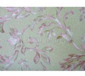 ̫ˇ���� 55333 0.53��10M 