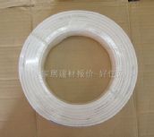 �茎�Ԓ��̖�� LYJ5-2006   4о��0.5��100�� 