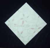 �A�{�شu �����uJC3CA 300mm��300mm 