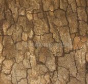 ������ɯ���u��Ƭ ��Ƥ-30*45DYD26121M 300��450mm 