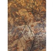 �������X�ܰ� ����JXX-06128 2440mm��1220mm����3mm 