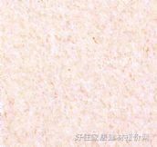 չ�i�شu ����uE0605 800mm��800mm 