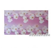 ���\������ XINGYUNLONG04 1.56��10.6M 