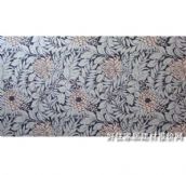 ���\������ XINGYUNLONG05 1.56��10.6M 