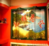 �����ۯB�� �X�Ͻ�o���ۯB ӆ�� 